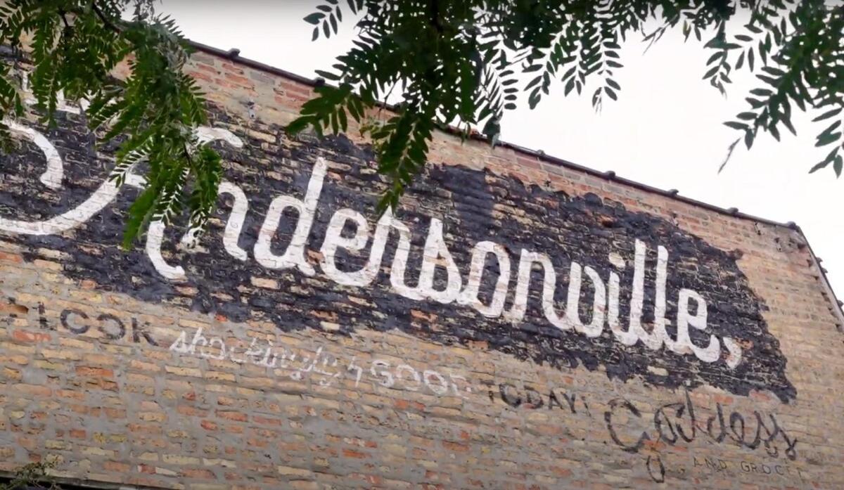Apartment Comfy Garden In Andersonville Chicago
