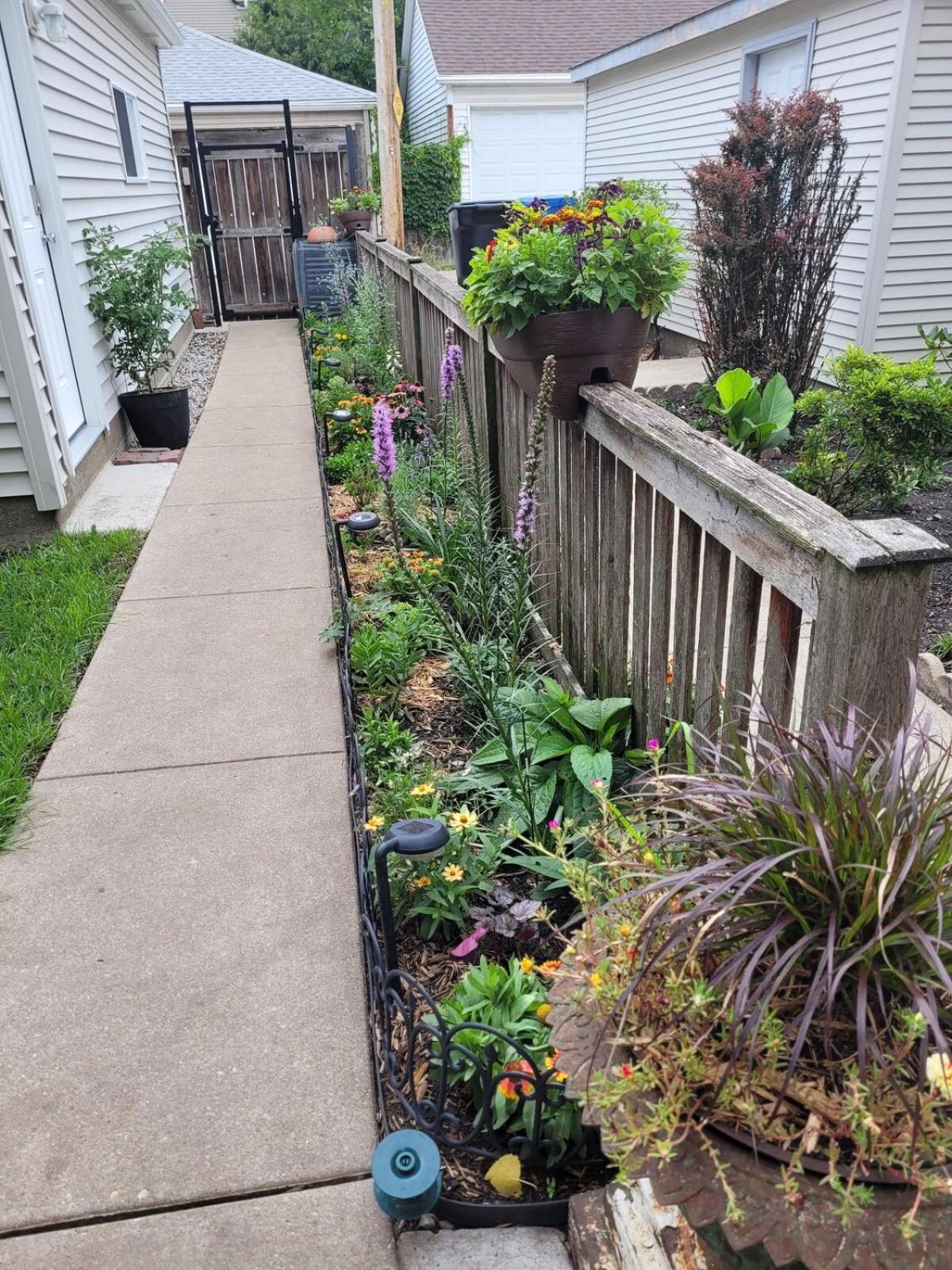Comfy Garden In Andersonville