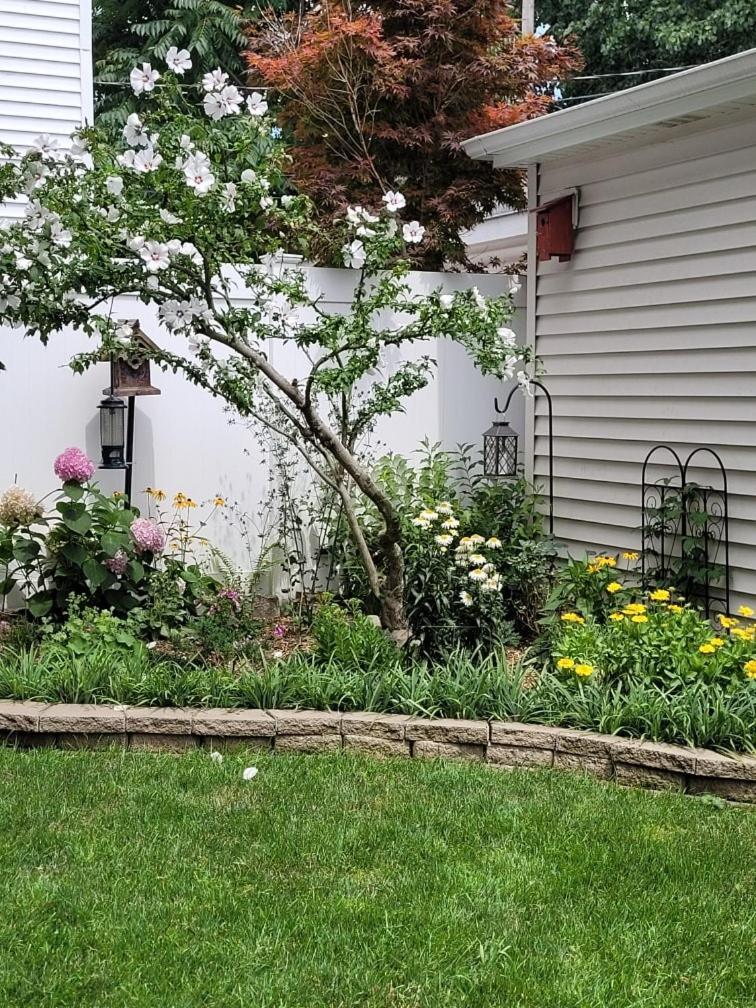 Comfy Garden In Andersonville Apartment