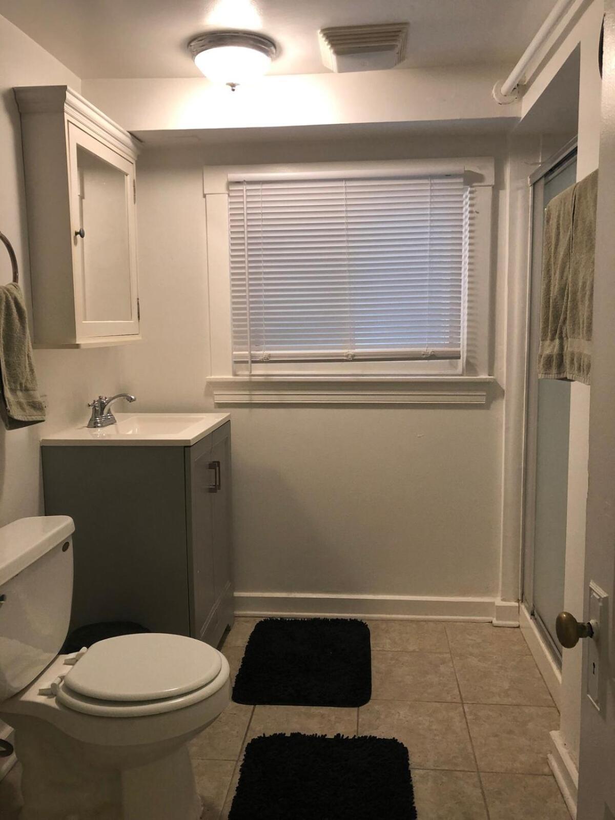 Apartment Comfy Garden In Andersonville