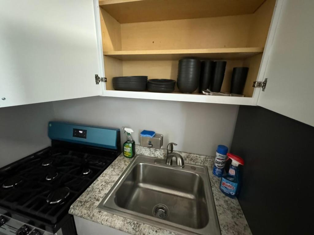 Beautiful Near Downtwon - Free Parking! Chicago