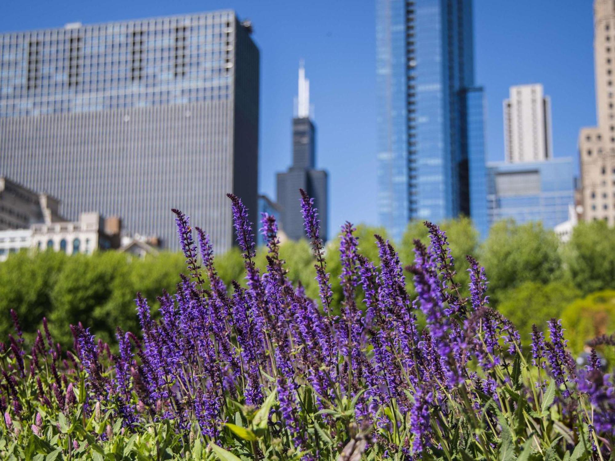 Hotel Fairmont Millennium Park 4*