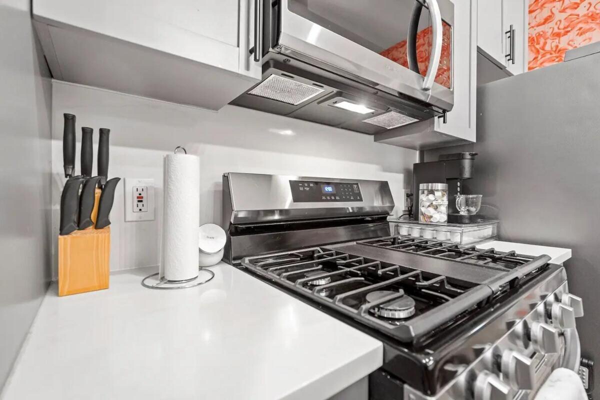 2 Bd 2 Ba Bucktown Safari Flat Chicago
