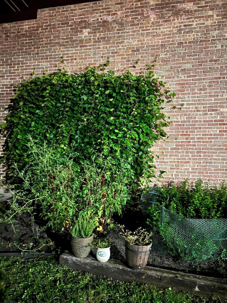 Apartment The Clark *