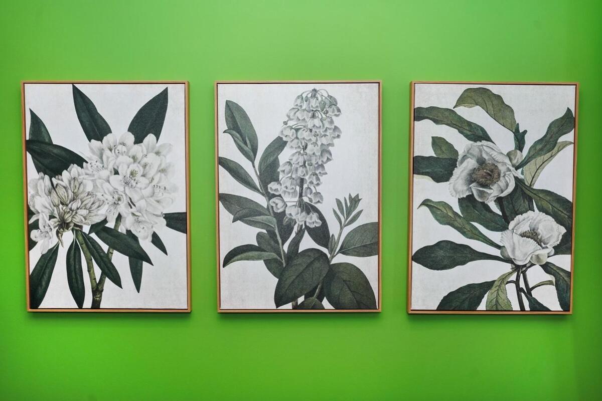 Family-friendly 3br Retreat Near Medical District, Of Illinois & West Loop Apartment