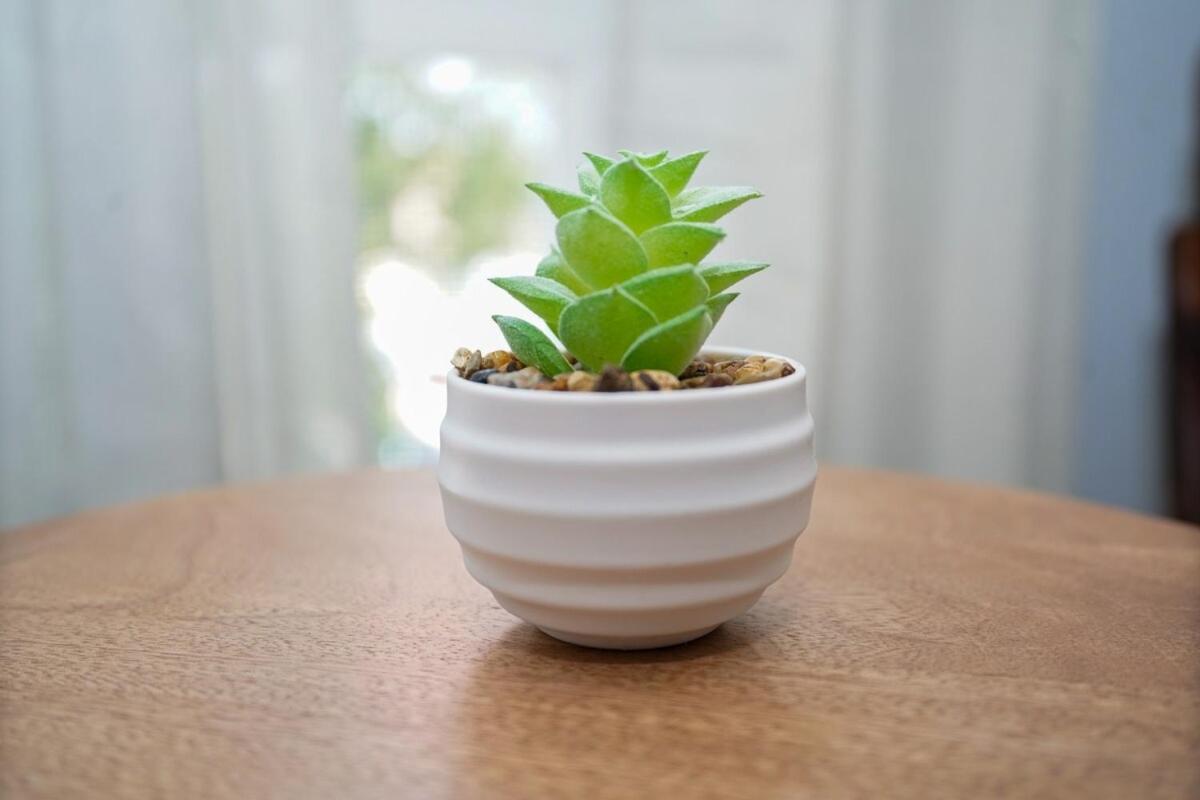 Family-friendly 3br Retreat Near Medical District, Of Illinois & West Loop * Chicago