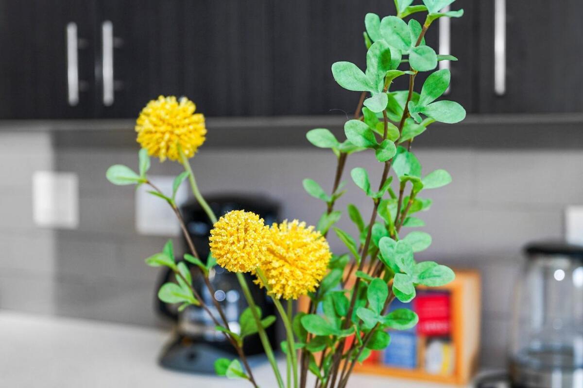 Modern 3br 420-friendly Unit Near Mccormick Place, Soldier Field And Lakefront Trail Chicago