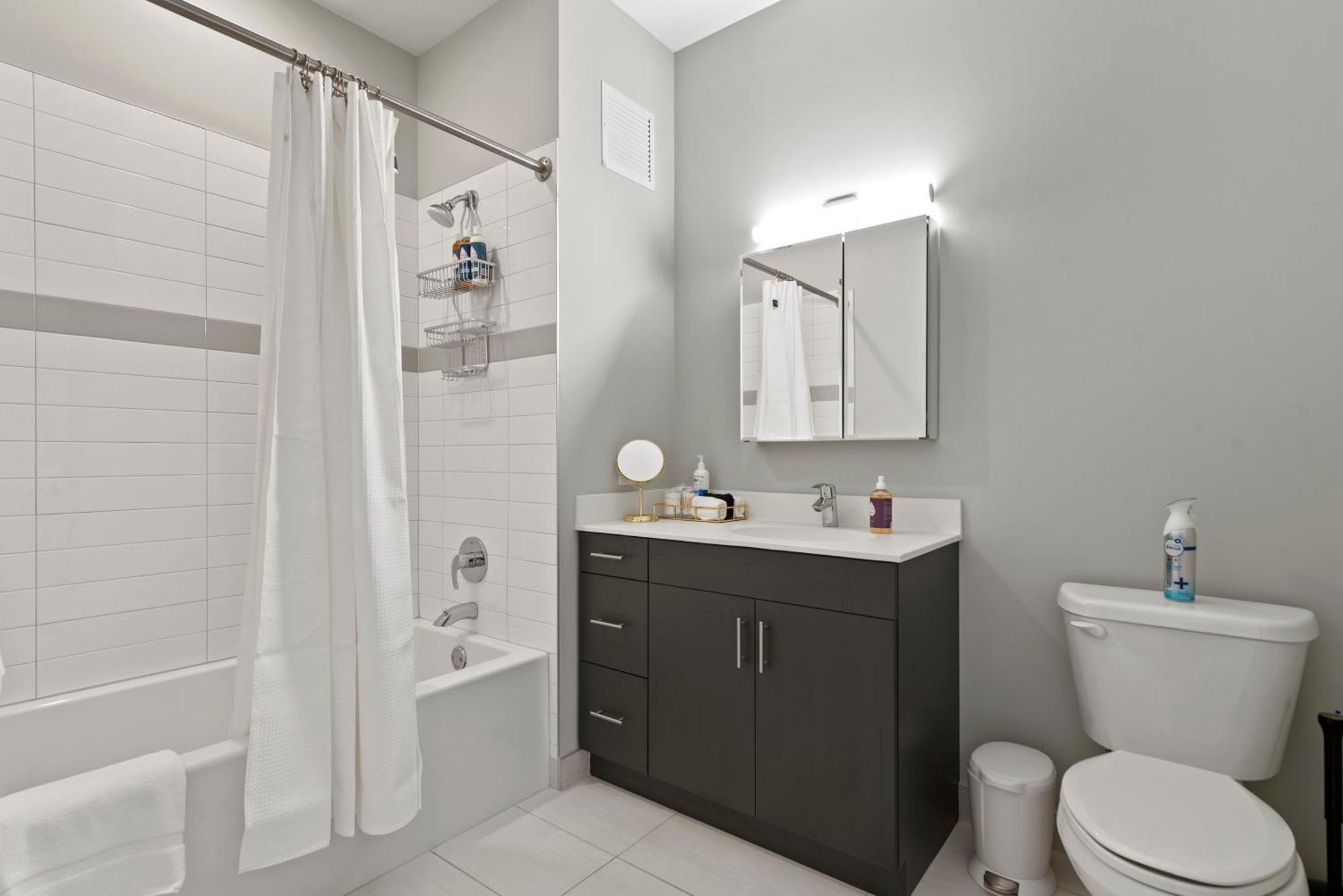 Premier Penthouses And With Captivating Views Of Millennium Park Chicago