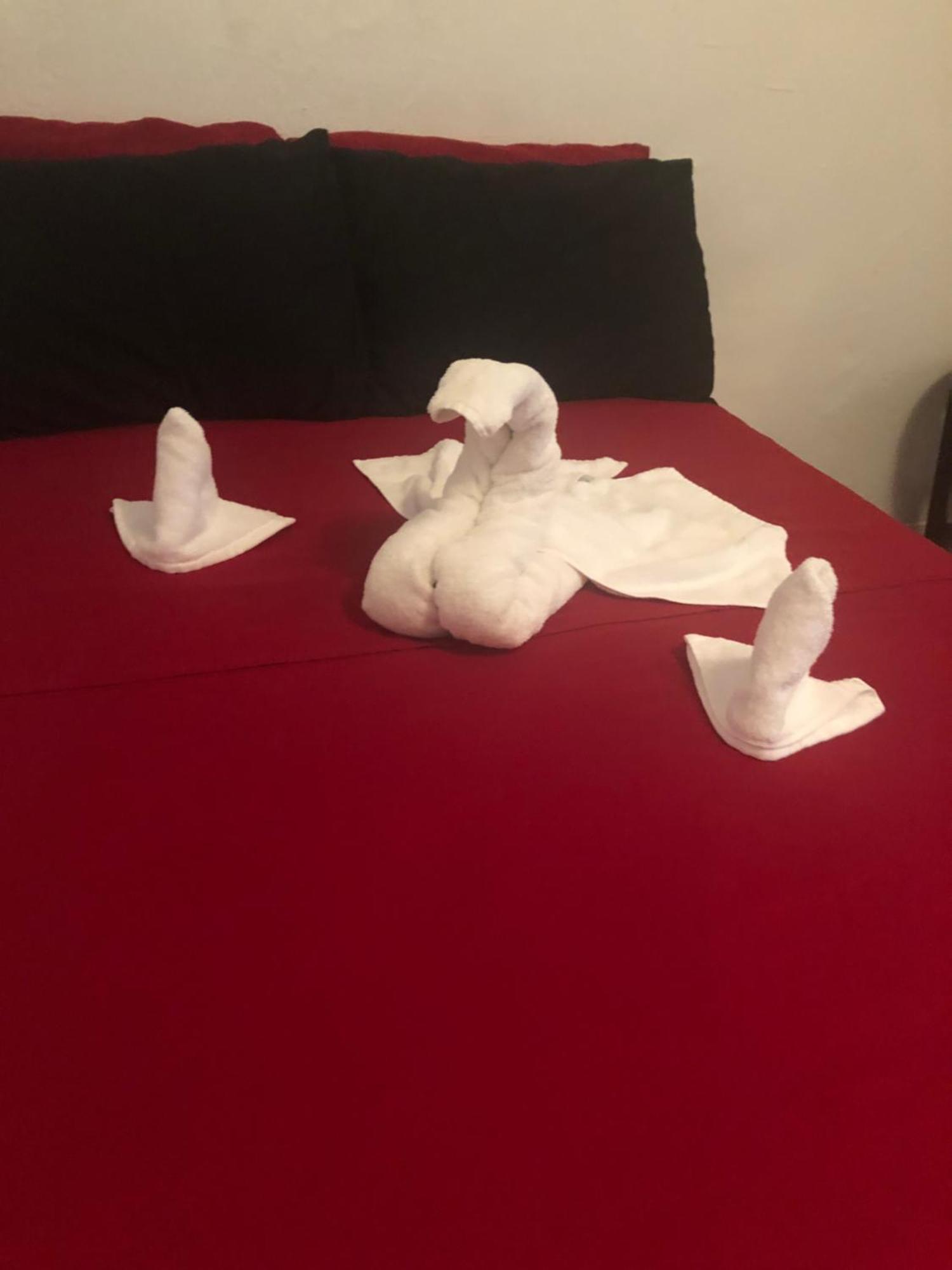 Homestay A Hidden Gem, Approx 15 Mins To Downtown Chicago! Chicago