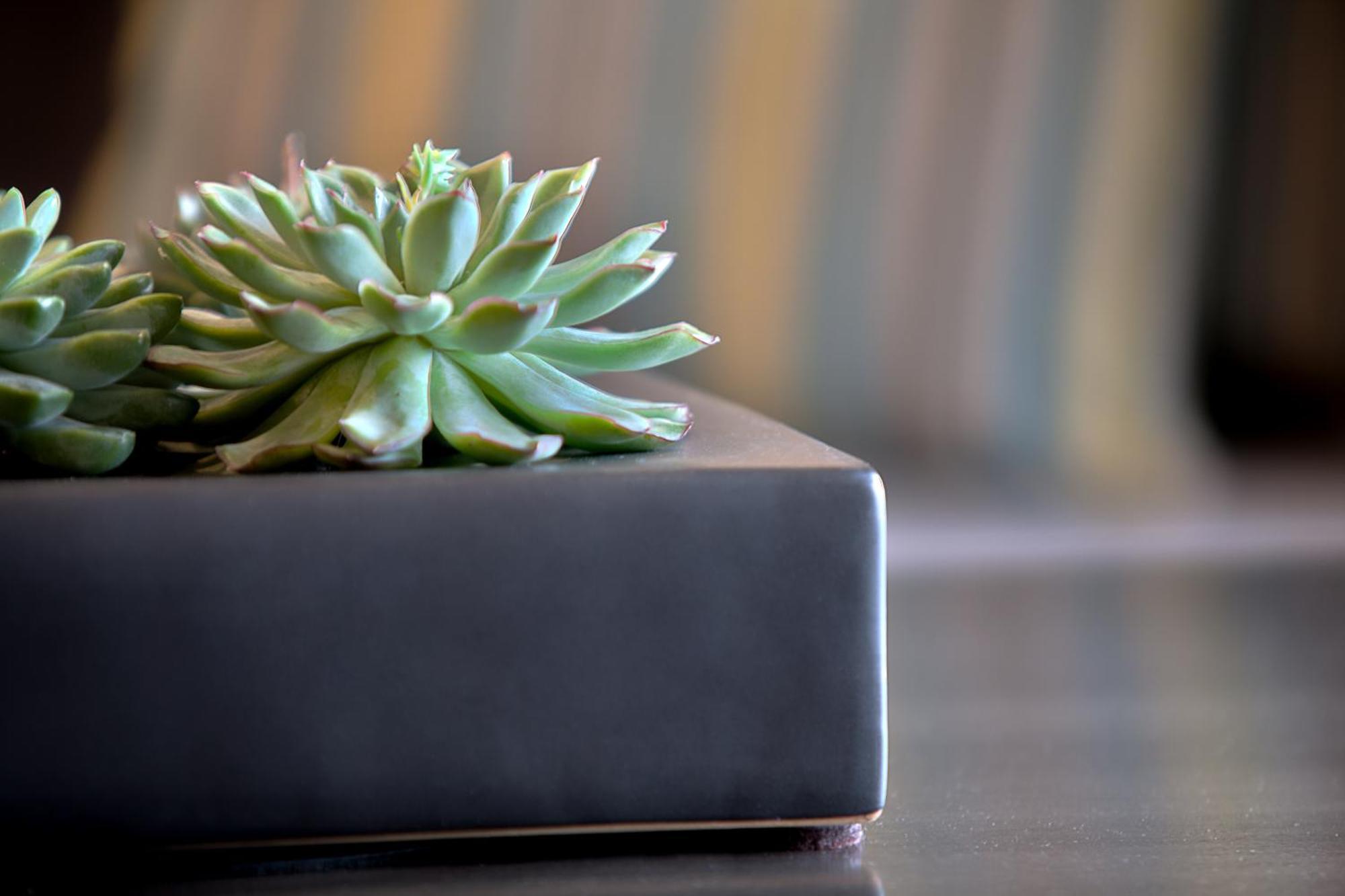 Western Downtown-river North 3*