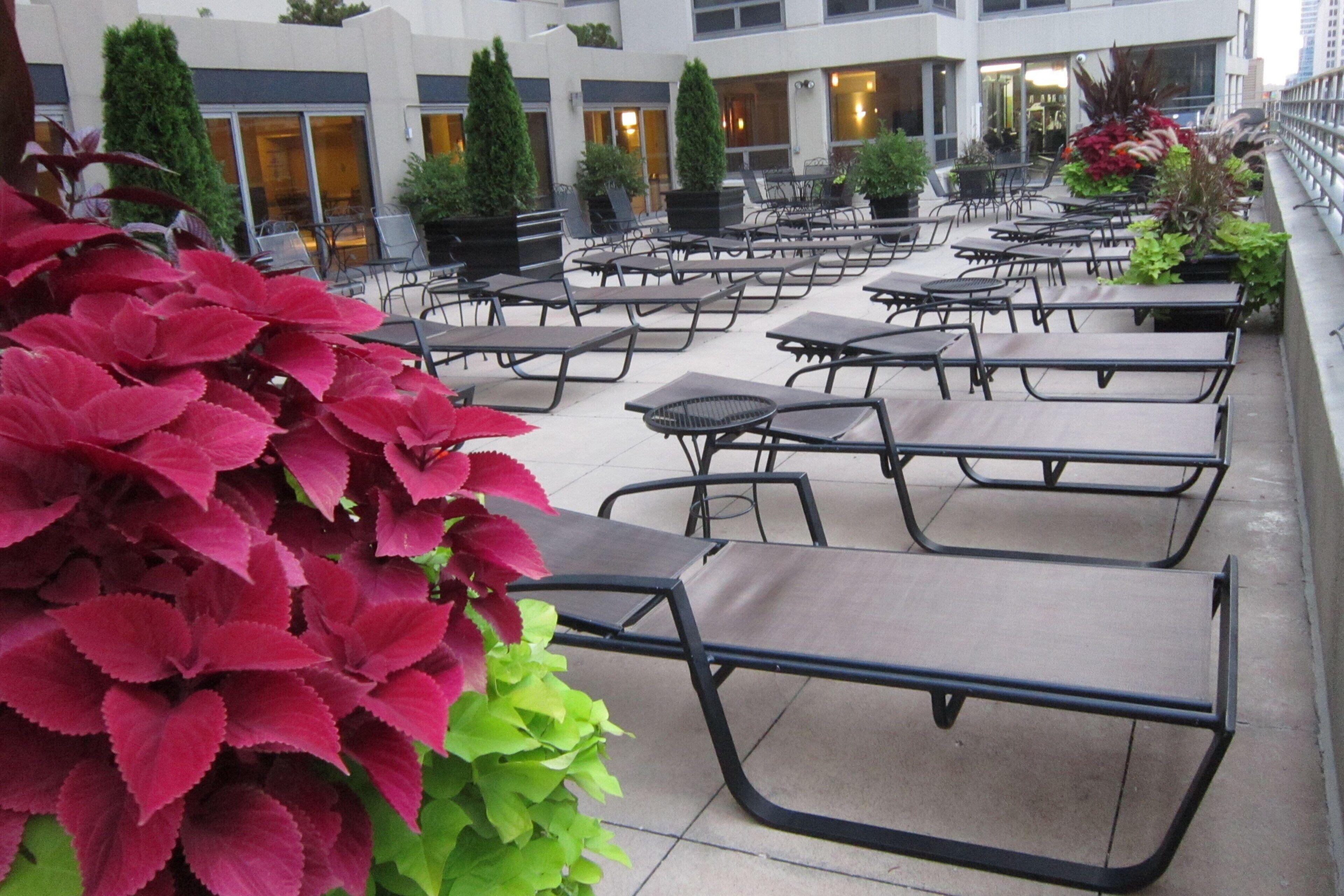 Hotel Courtyard By Marriott Downtown/river North Chicago