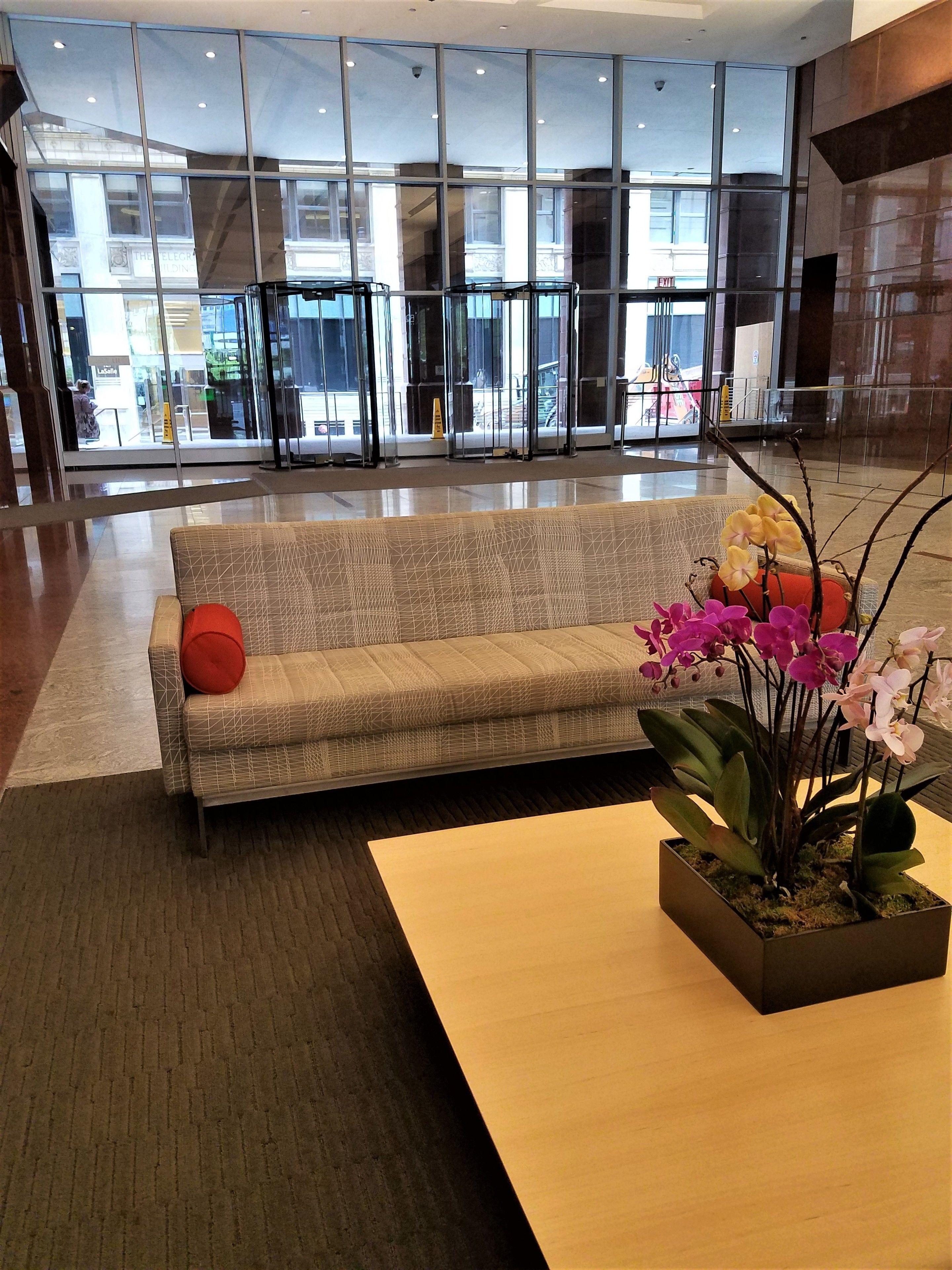 The Buckingham Hotel 3*