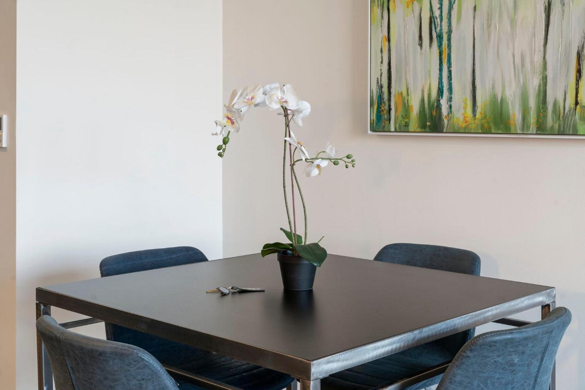 Apartment New Modern 1br Escape Chicago