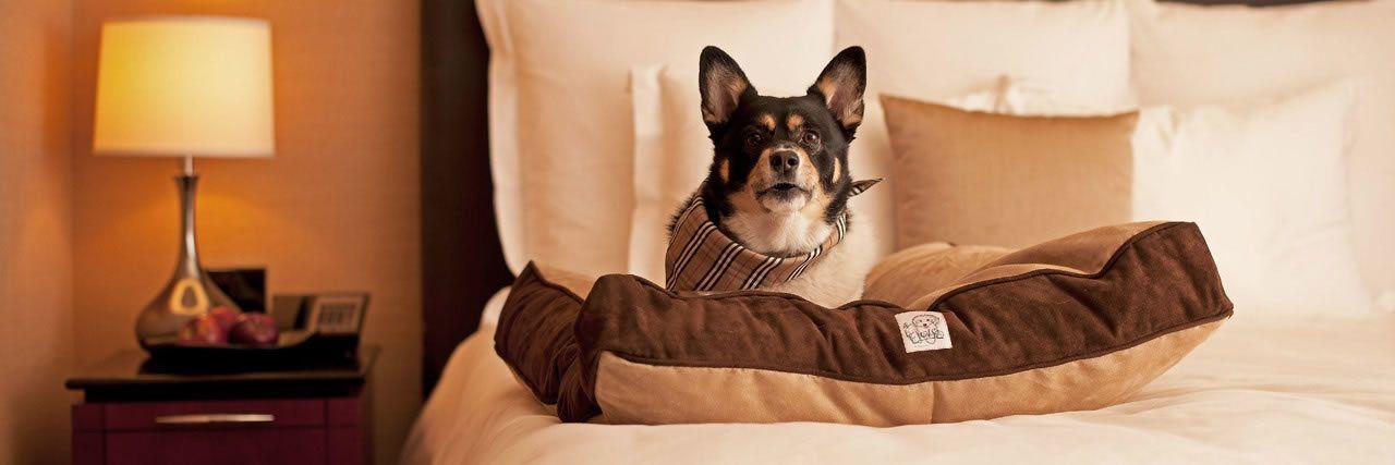 Hyatt Place Chicago-south/university Medical Center Chicago