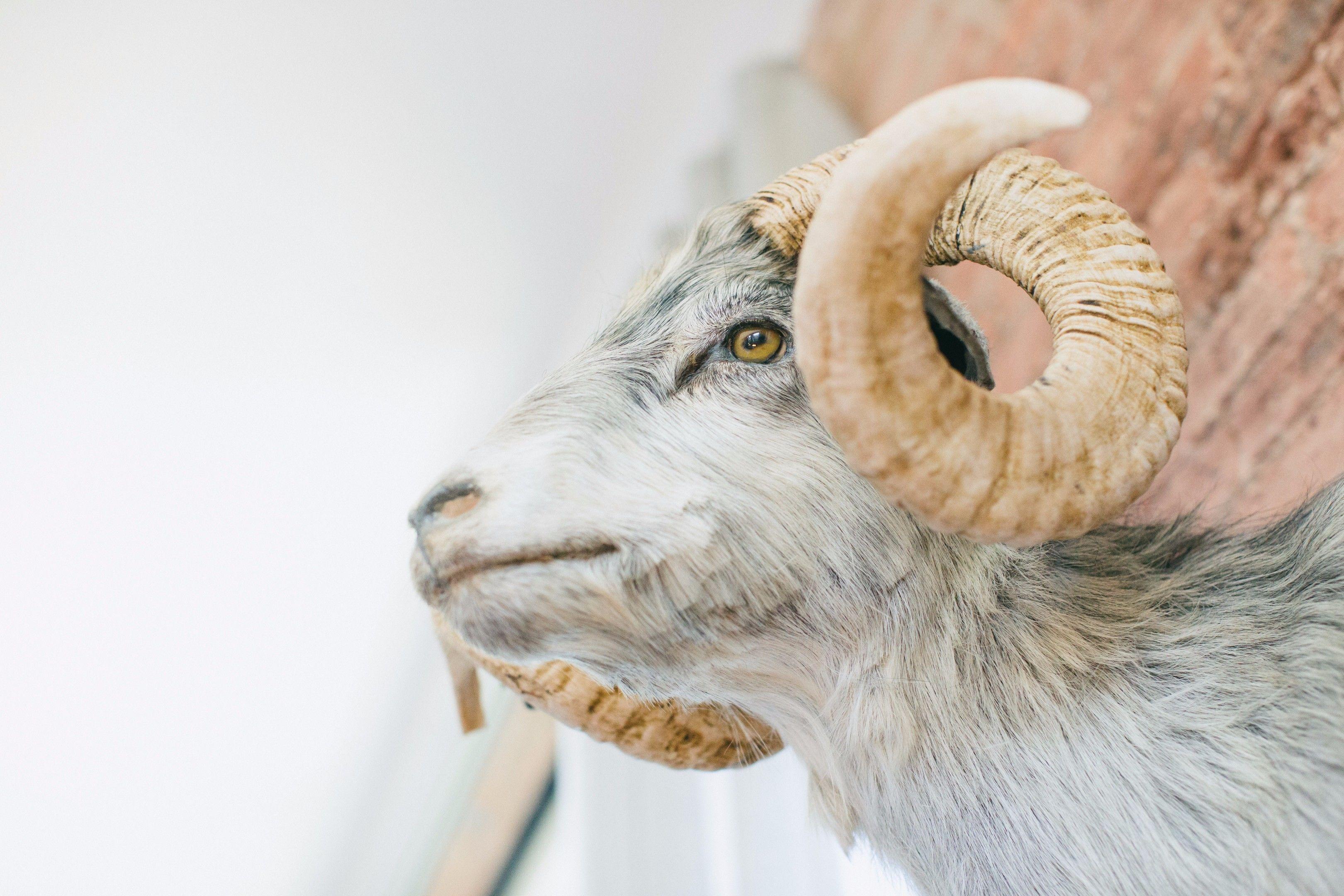 The Publishing House