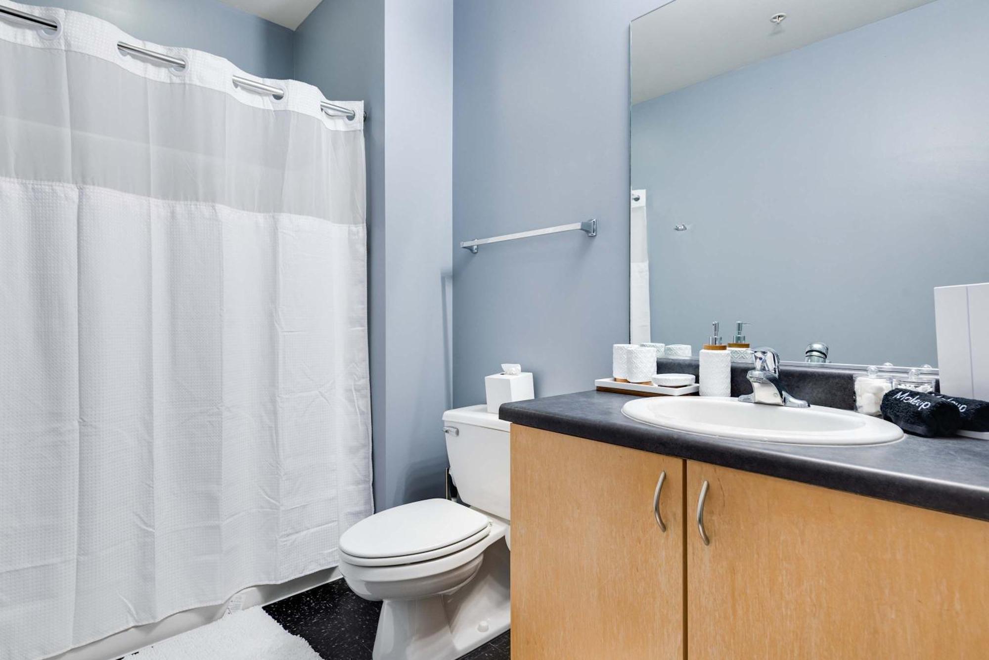 Apartment West Loop - Views With In & Out Parking 6 Chicago