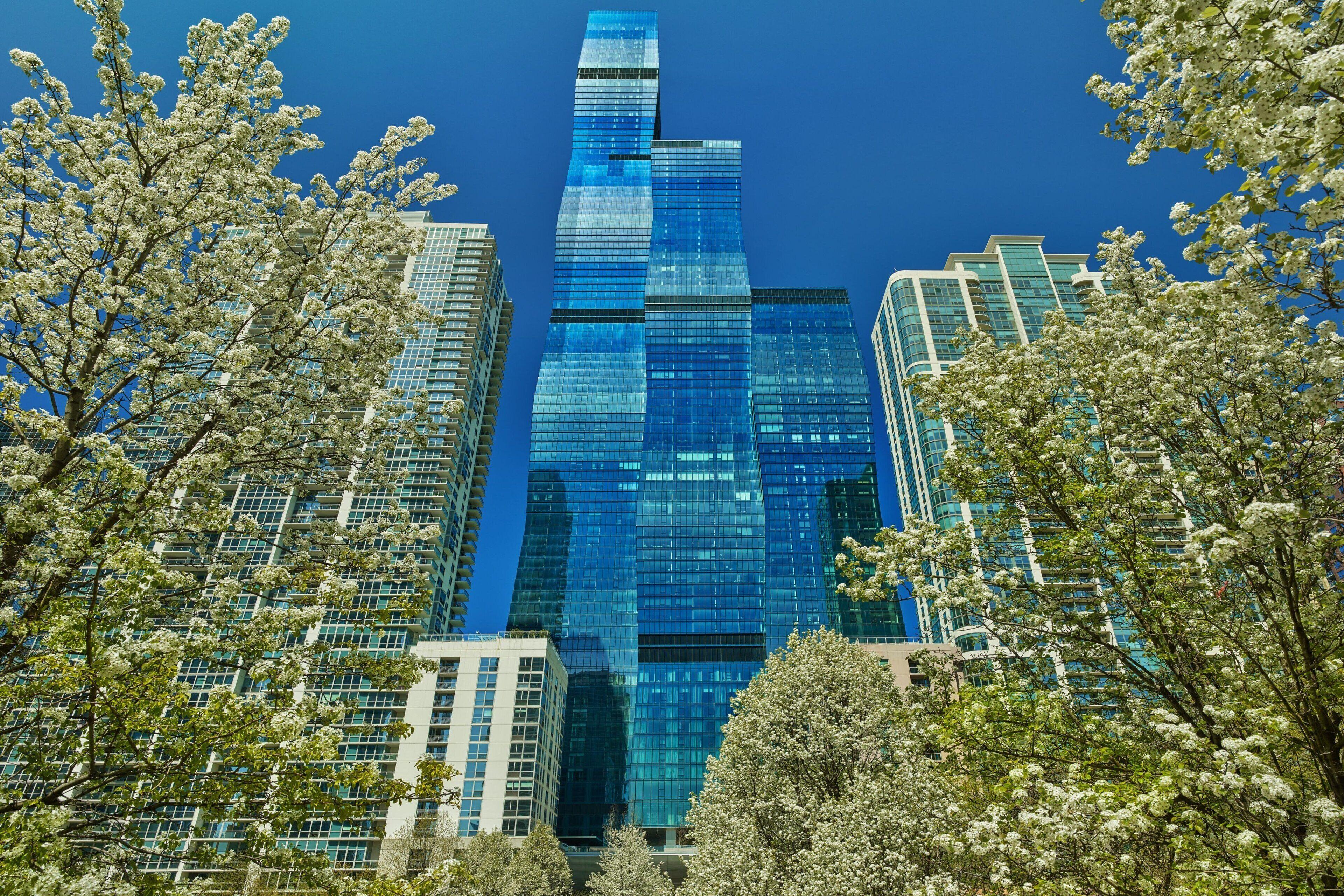 The St. Regis