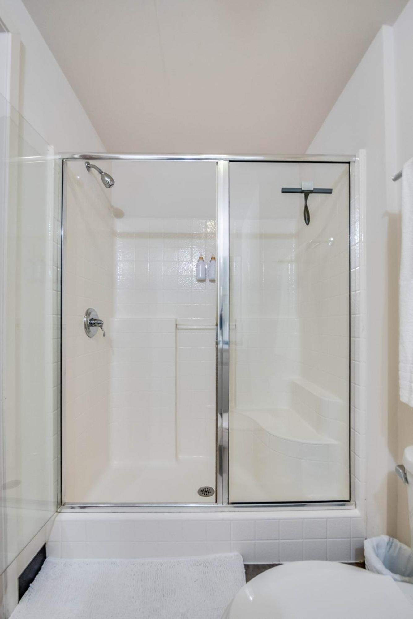 Downtown With Free In & Out Parking 1 Apartment Chicago