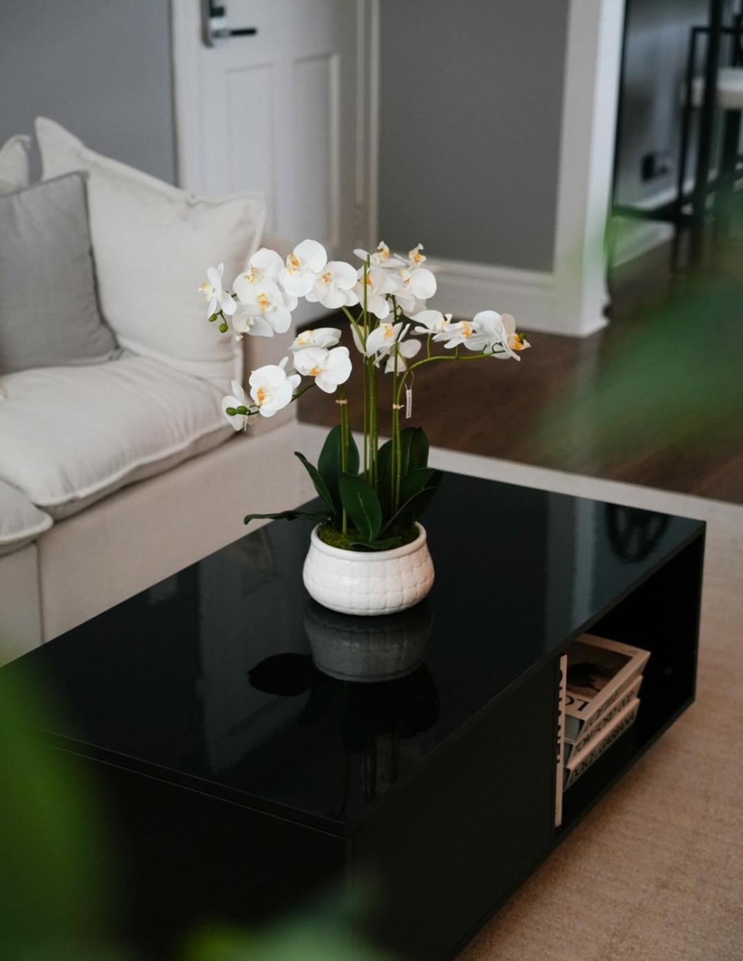 2br W/ Workspace - Coffee Bar - Near Transit *