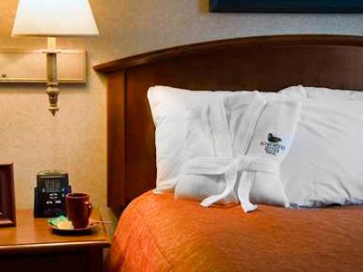 Hotel Homewood By Hilton Chicago-downtown