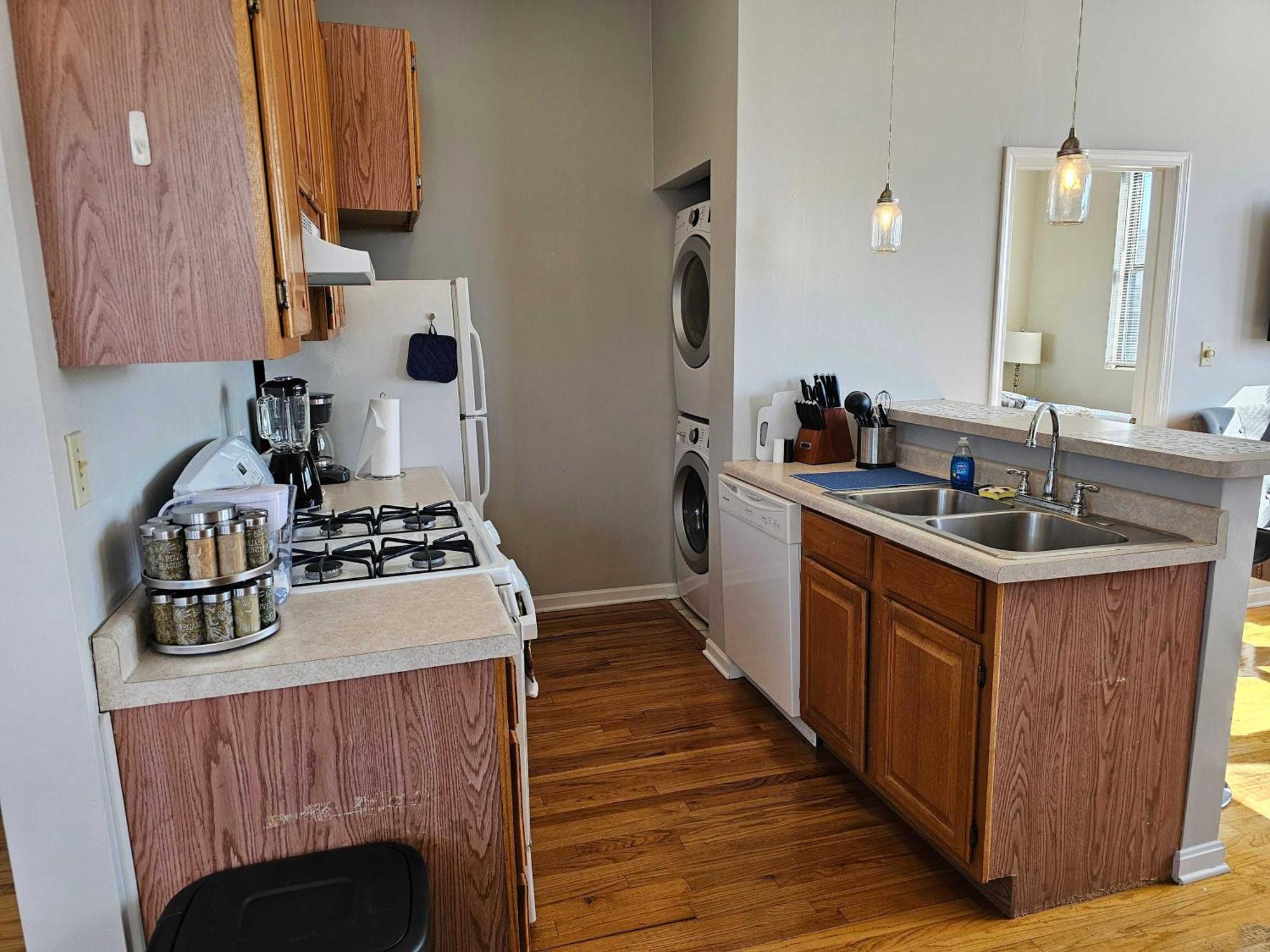 Two Bedroom West Loop Apartment