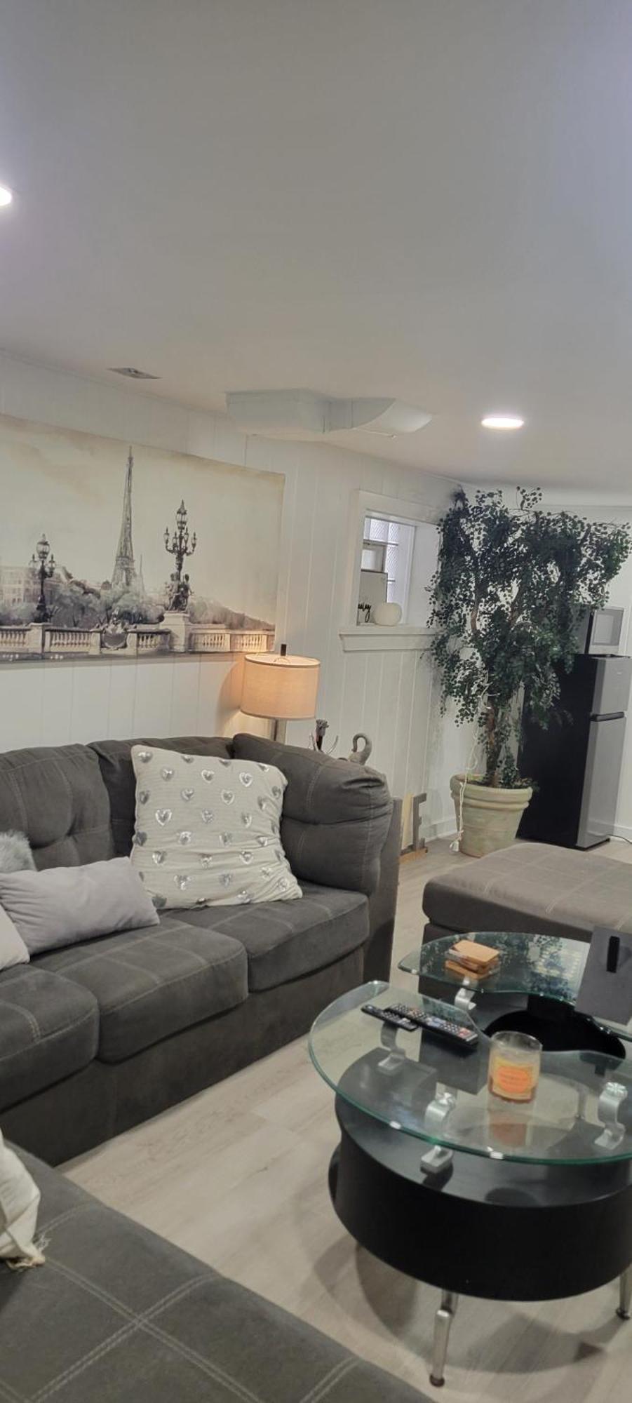 Apartment Beautiful Basement