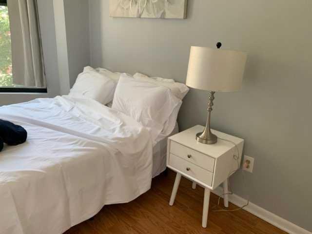 South Loop 4 Bedroom Apartment Chicago