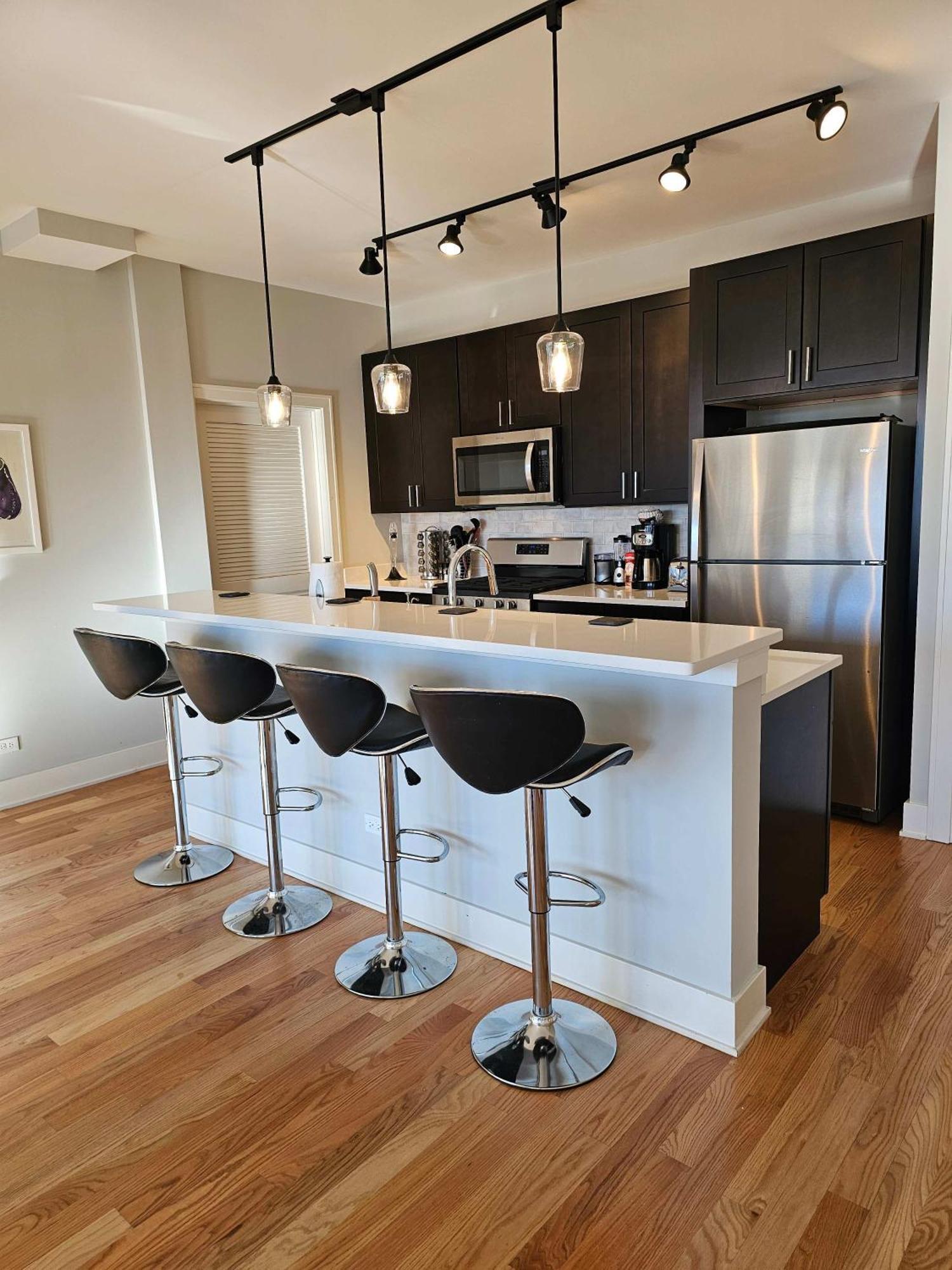 Updated 3 Bedroom Downtown Pilsen *