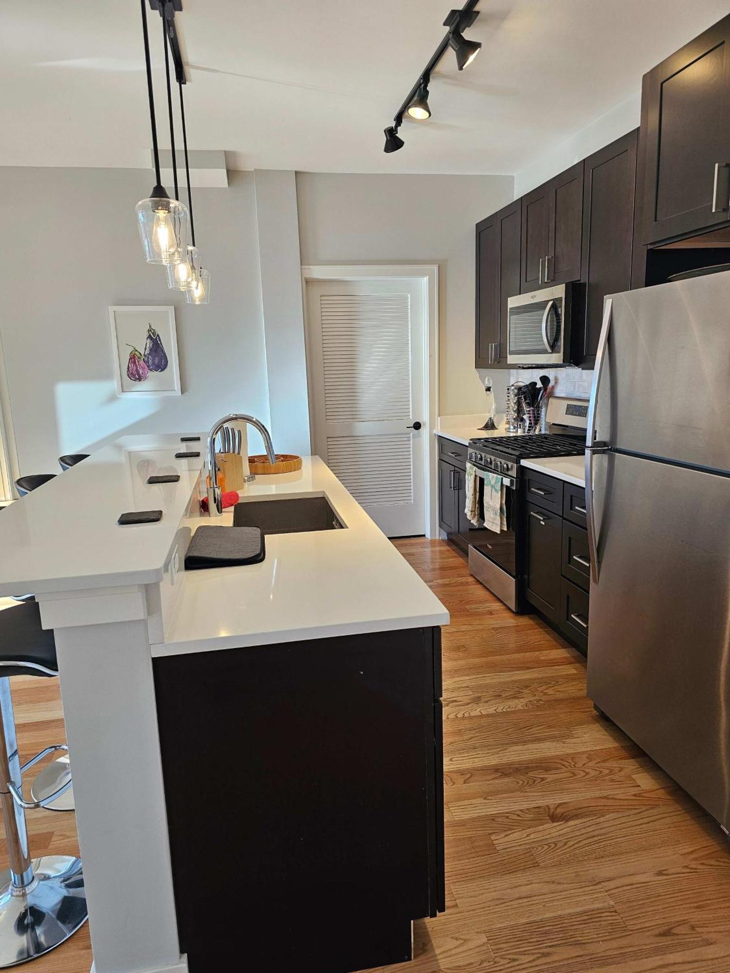 Updated 3 Bedroom Downtown Pilsen Apartment Chicago