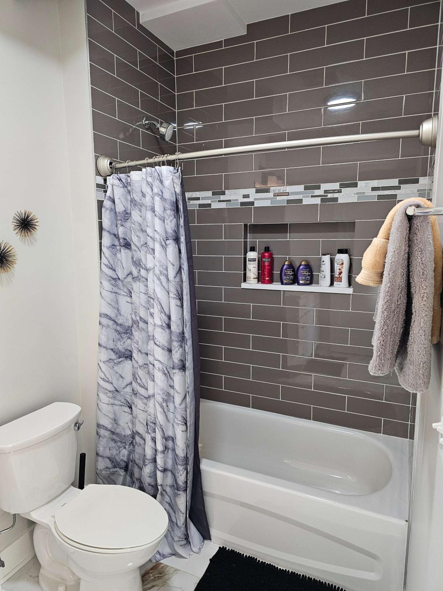 Updated 3 Bedroom Downtown Pilsen *