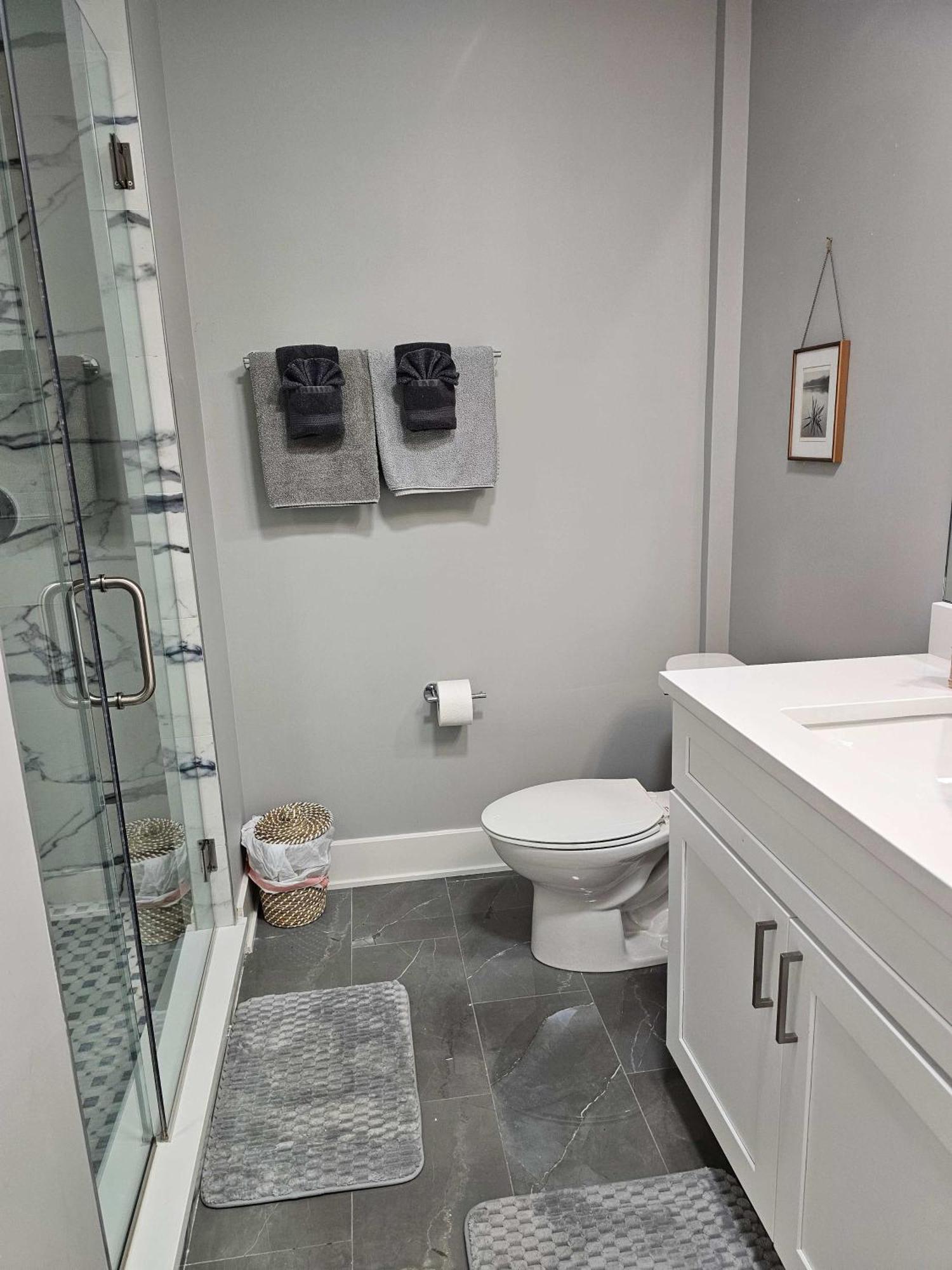 Updated 3 Bedroom Downtown Pilsen