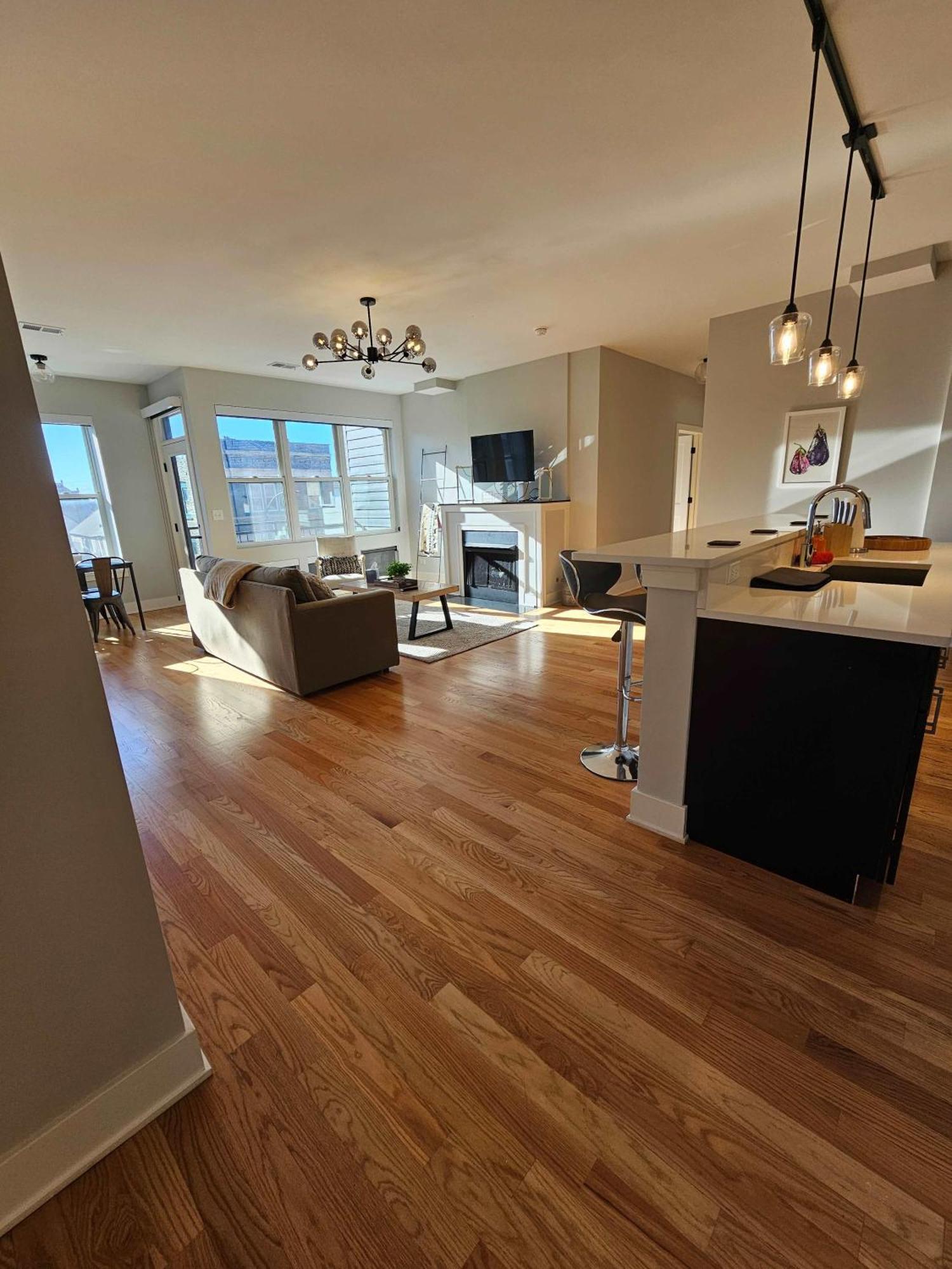 Updated 3 Bedroom Downtown Pilsen Apartment Chicago