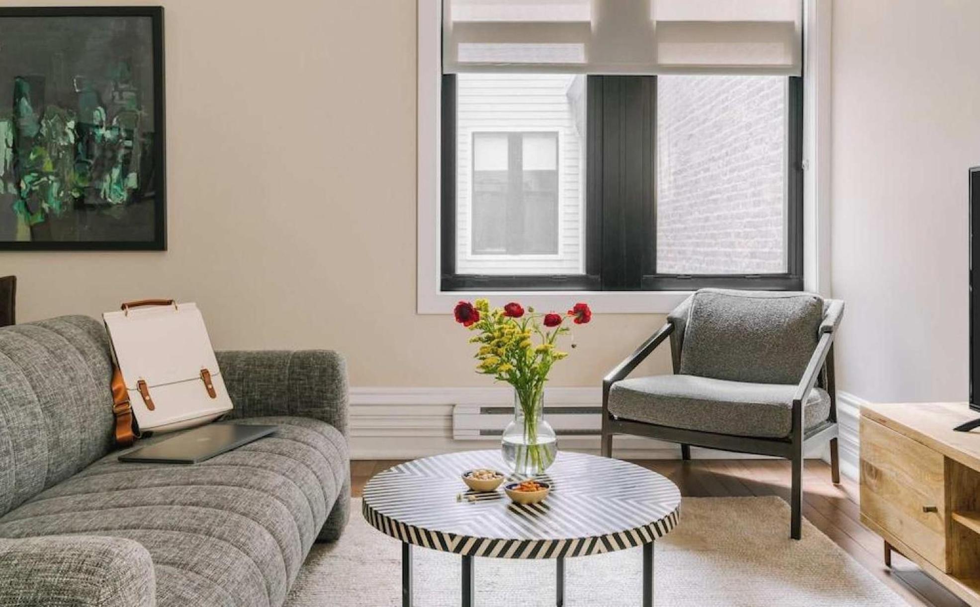Livn Millennium Park Downtown Prem Apartment Chicago