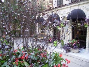 The Willows Hotel