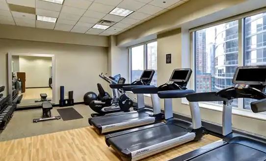 Hotel Embassy By Hilton Downtown Magnificent Mile 4*