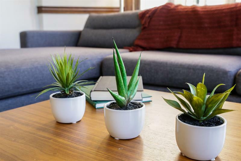 Apartamento Charming 3br In The Loop By Sonder
