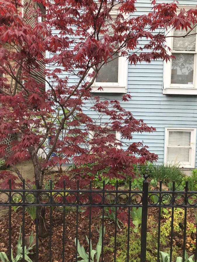 Hébergement de vacances 5 Bedroom Huge House In Location Parking Fireplace Back Yard