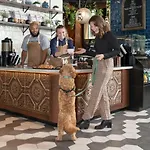 Saint Clair - Magnificent Mile Hotel