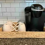 Chicago Tropical Boho Oasis