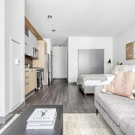 Loop Studio W Gym Wd Nr L Millennium Park Chi-468 Apartment