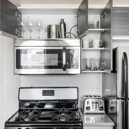 S Loop Studio Nr L Grant Park Sheed Chi-307 Apartment