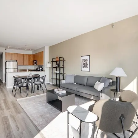 Apartment South Loop 1br W Gym Lounge Nr Grant Park Chi-847 Chicago