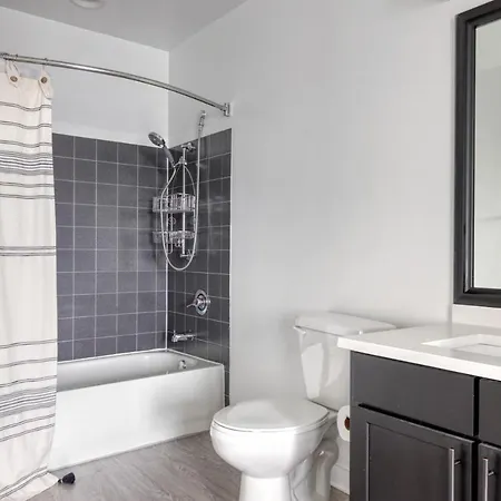 S Loop 1br W Roof Gym Lounge 1 Block To L Chi-444 Apartment Chicago