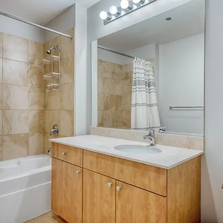 South Loop 1br W Gym Lounge Nr Grant Park Chi-849 Apartment