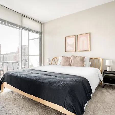 South Loop 1br W Gym Lounge Nr Grant Park Chi-847 Apartment Chicago