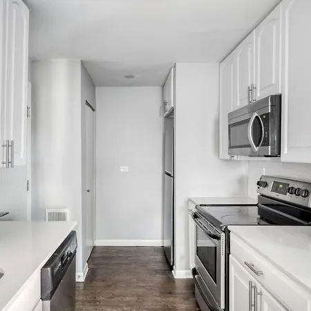 Lakeview 2br W Courtyard Wd 2 Blocks To L Chi-514 Apartment