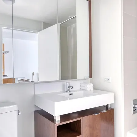 Streeterville Studio W Gym Pool Nr Navy Pier Chi-394