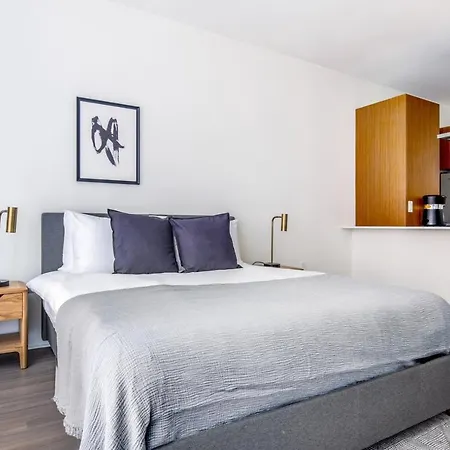 Streeterville Studio W Gym Pool Nr Navy Pier Chi-394 Apartment *