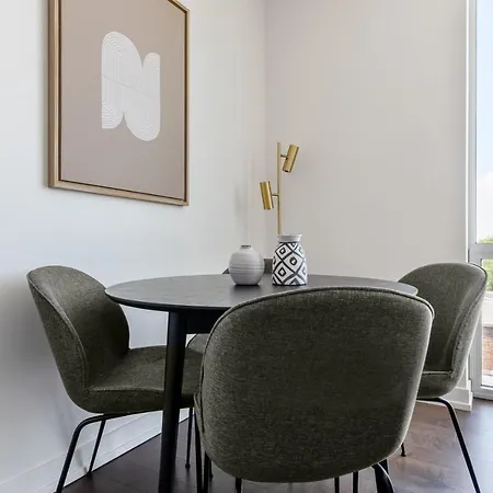 Ravenswood 1br W Rooftop Bbq Next To Brown Line Chi-401 Chicago