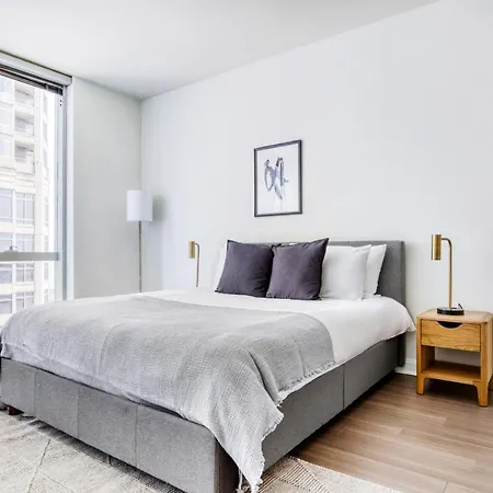Streeterville Studio W Gym Pool Nr Navy Pier Chi-394 * Chicago